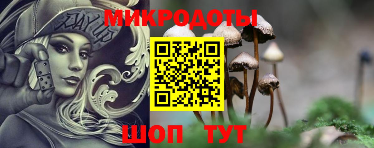 Красноярск  Псилоцибиновые грибы ЛСД  Вход с VPN  Псилоцибиновые грибы MAGIC MUSHROOMS 